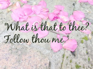 follow thou me